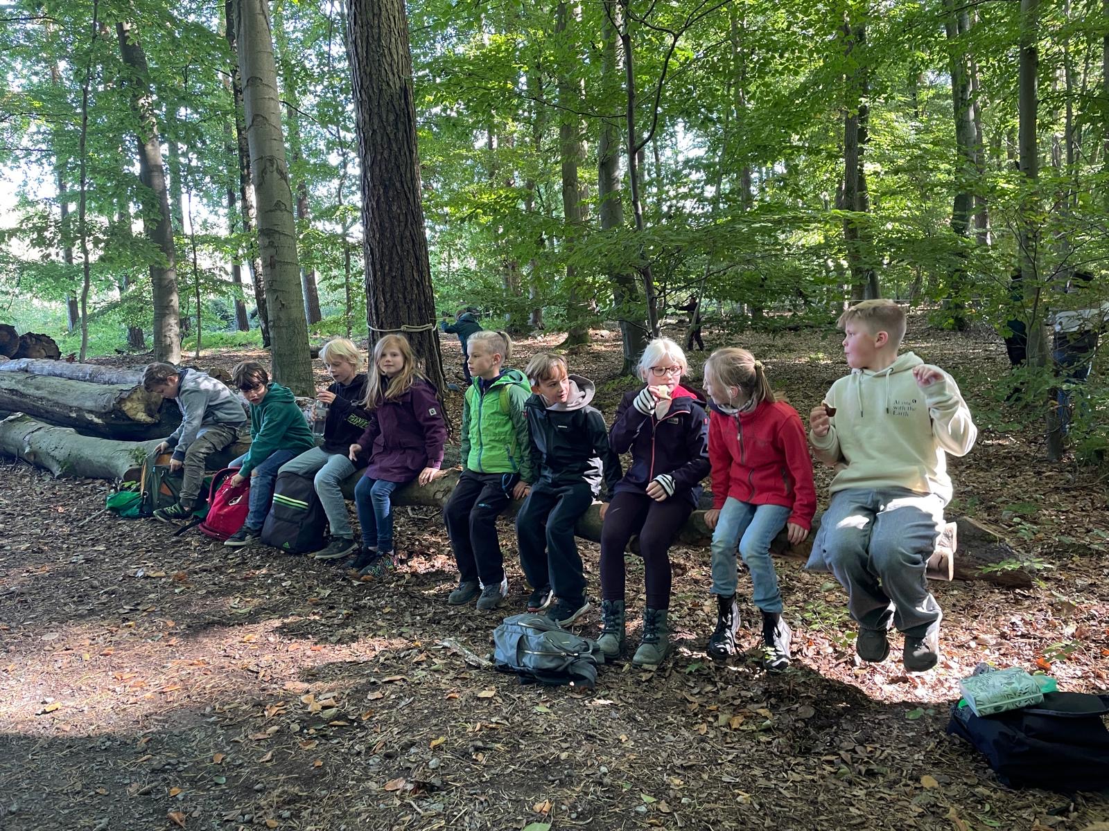 2613d70f 078e 4411 912b 41145c132907