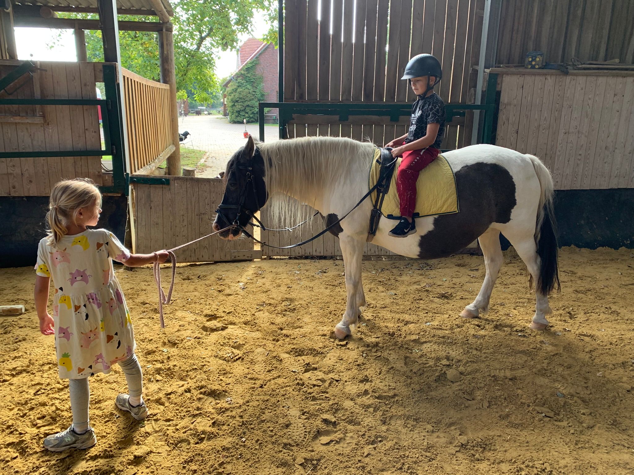 7d784038 8a53 4b7c 8309 41f3d5de9850