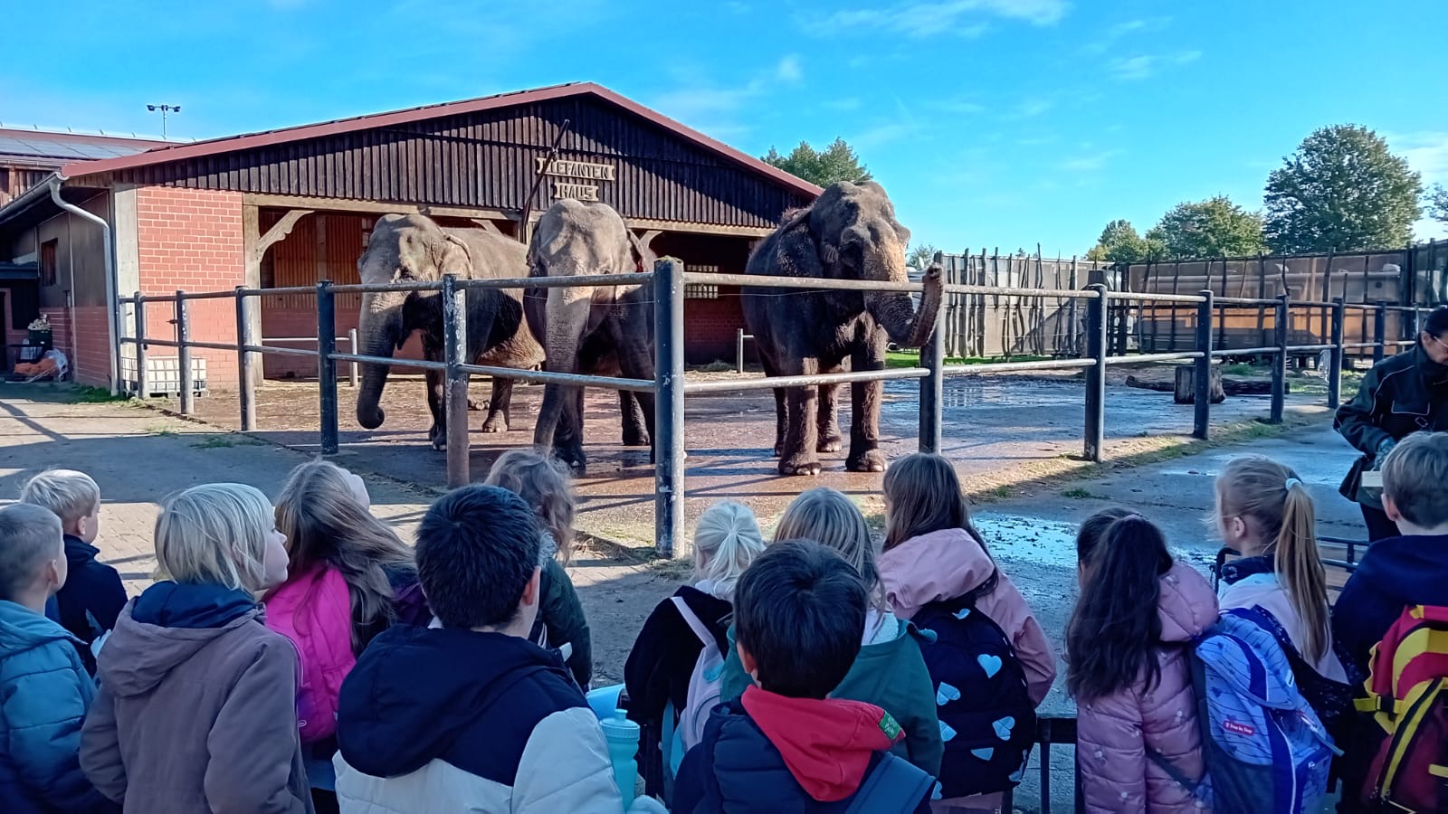 4a9e1fdb 00fa 4cf6 80f5 9aa5e386f262