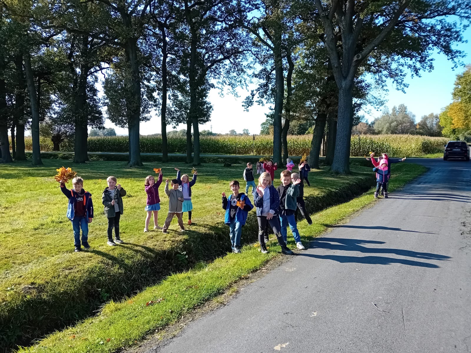 Herbstspaziergang 1b 2