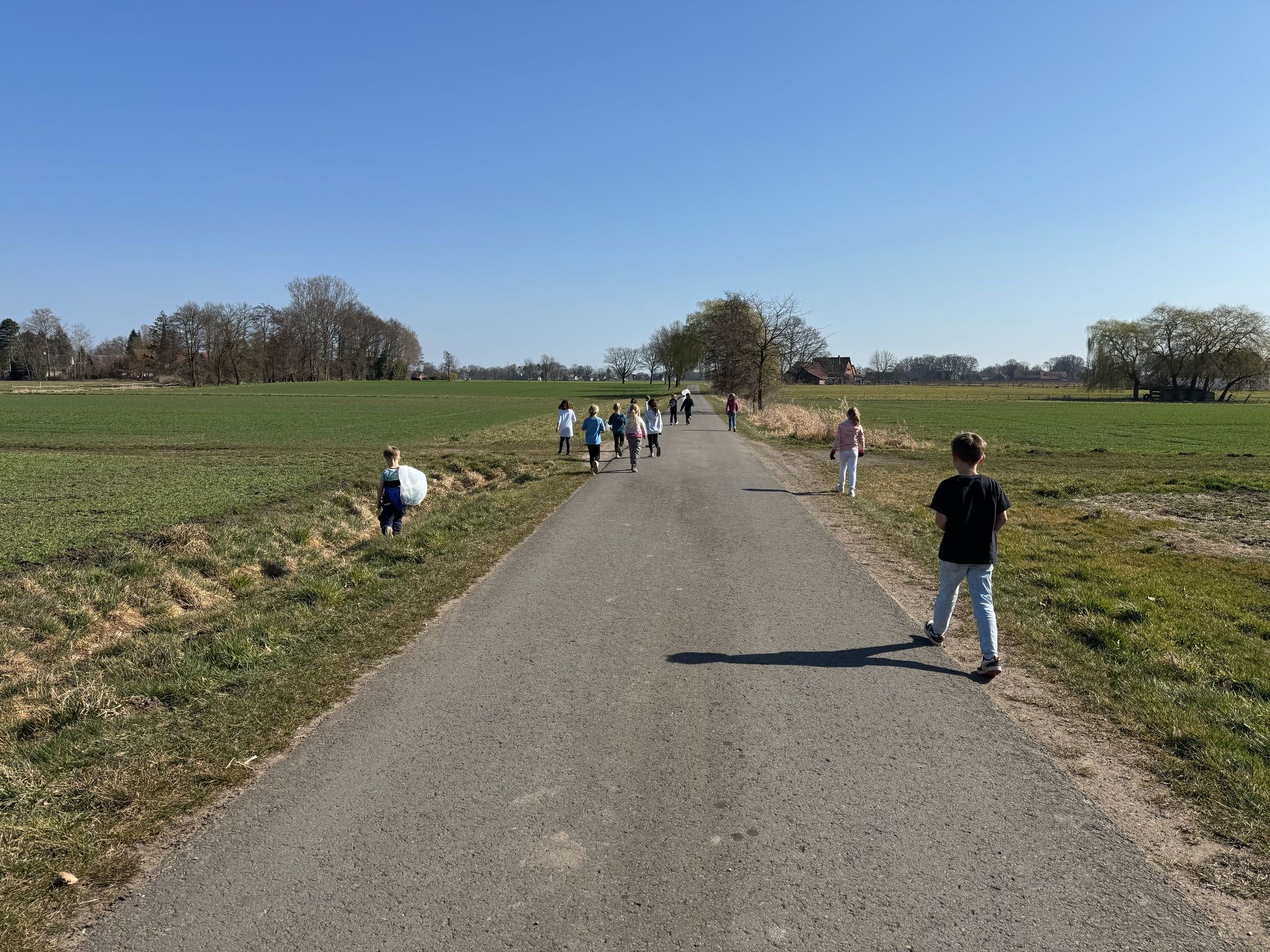 Saubere Landschaft 1