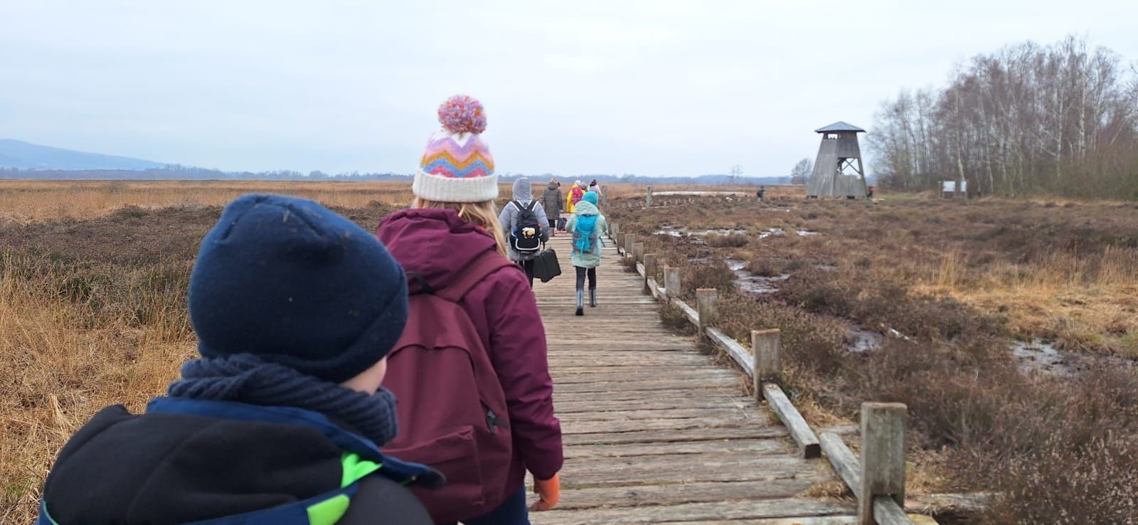 17180ee0 259e 471a befc daa0625ee993