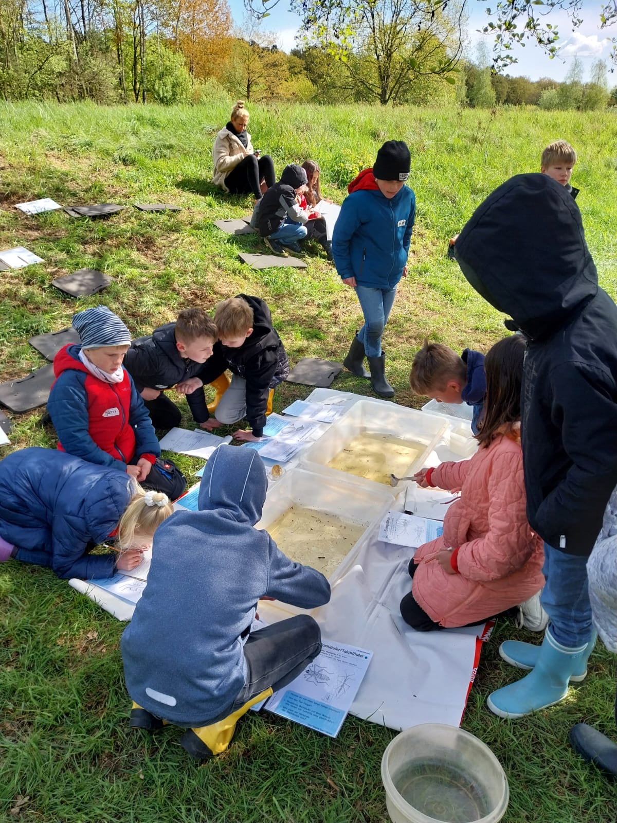 0ddfc04b 6039 4ecd bd97 b41998f9a908