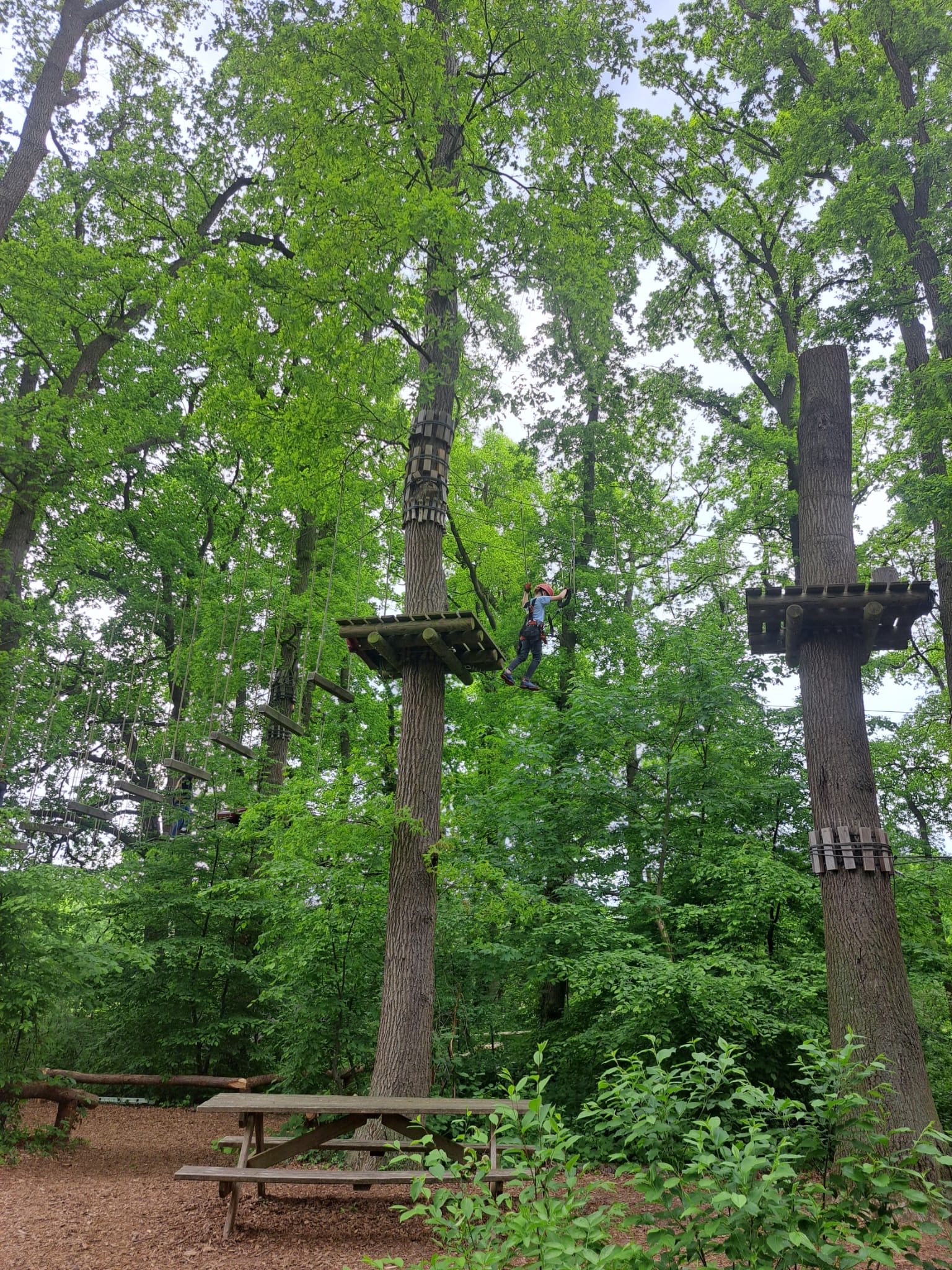 60efa185 0c60 472f acc1 1d5836c39ae2