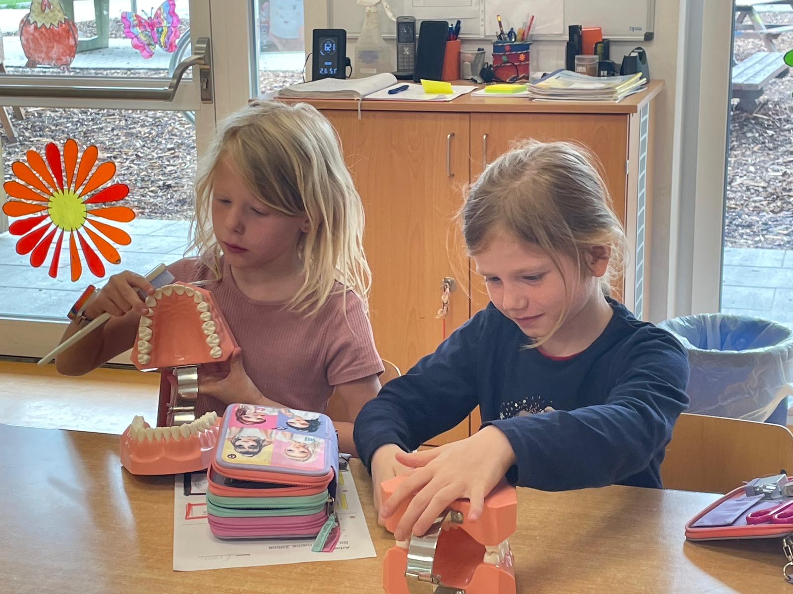 c9f6e21f 4201 4d65 9eda f25f3d90a03f