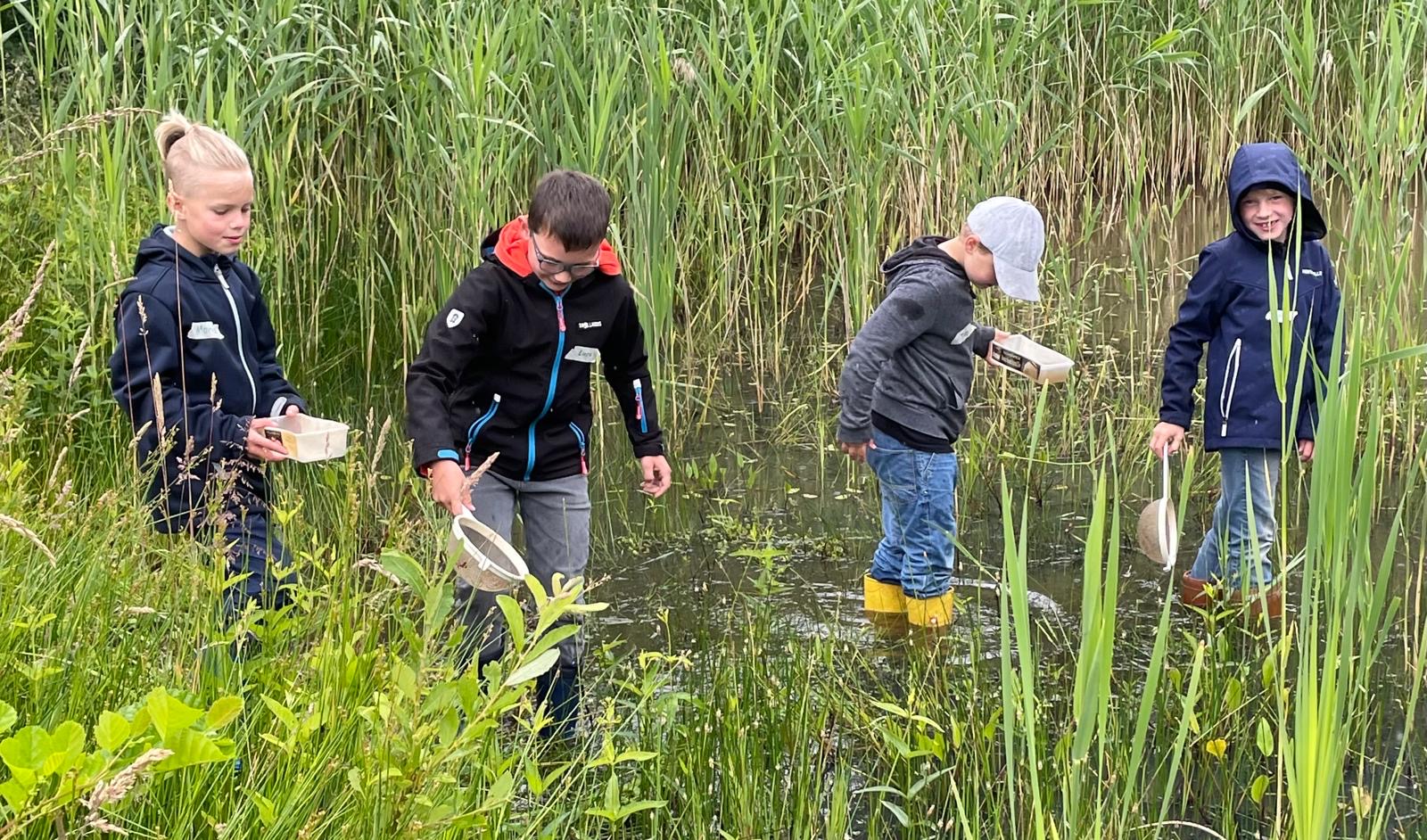 bda5e5eb 6f68 4014 a052 217721632cb5