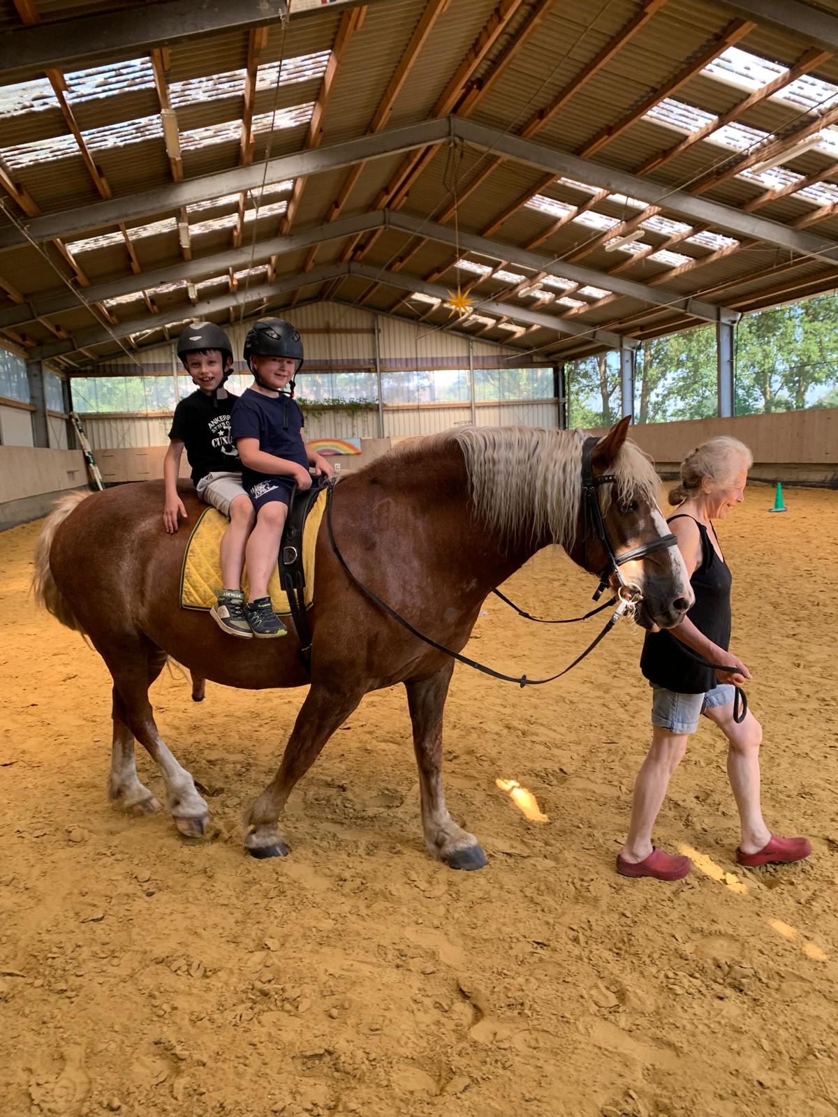 f221a231 64bf 49c0 b362 76a487f369fd