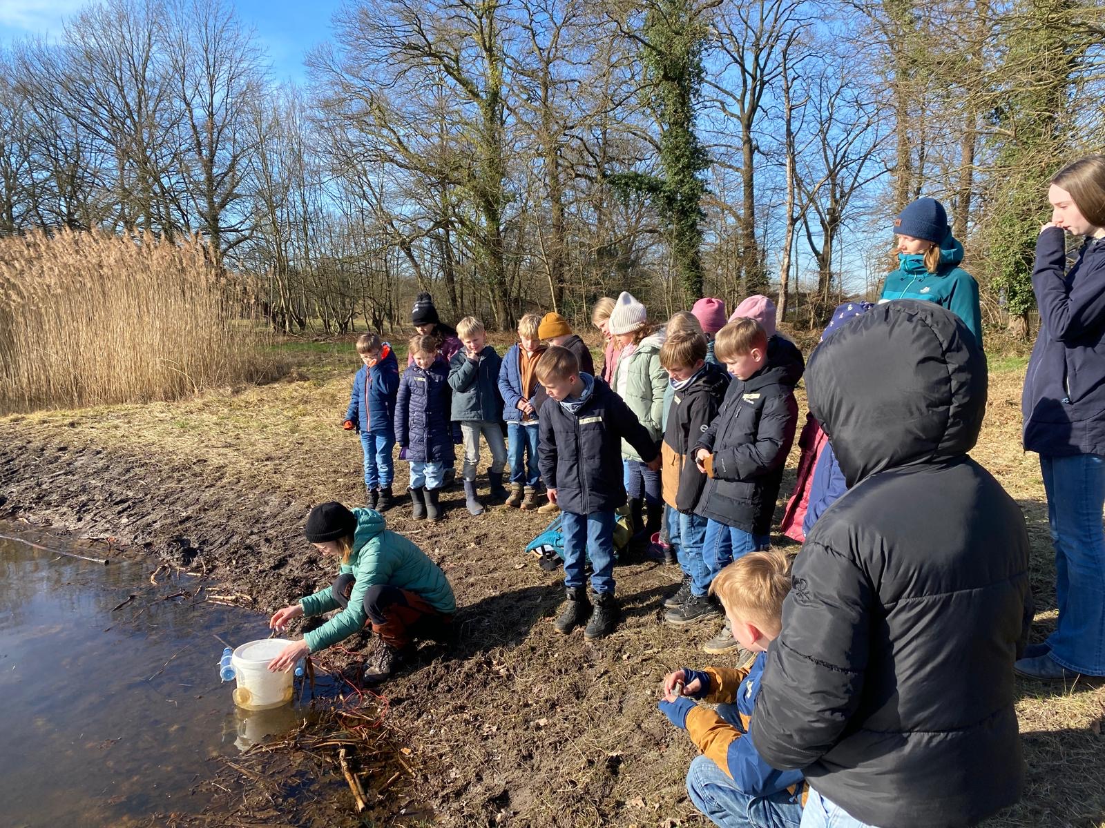 42f6158d 911a 4d66 837f 5229fbd27cad