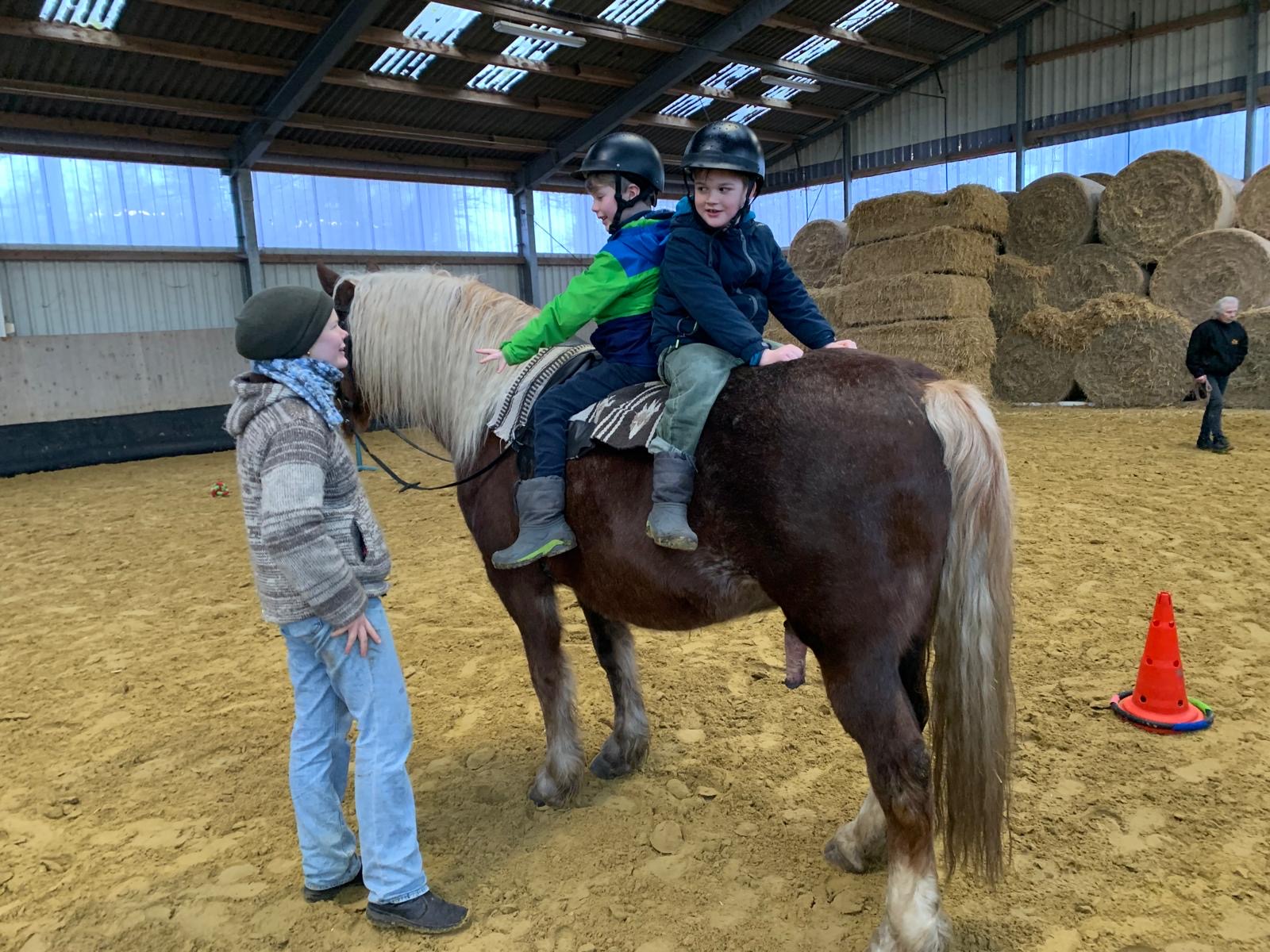 2ddac08f 8b87 44d5 ba54 ab3077cf9733